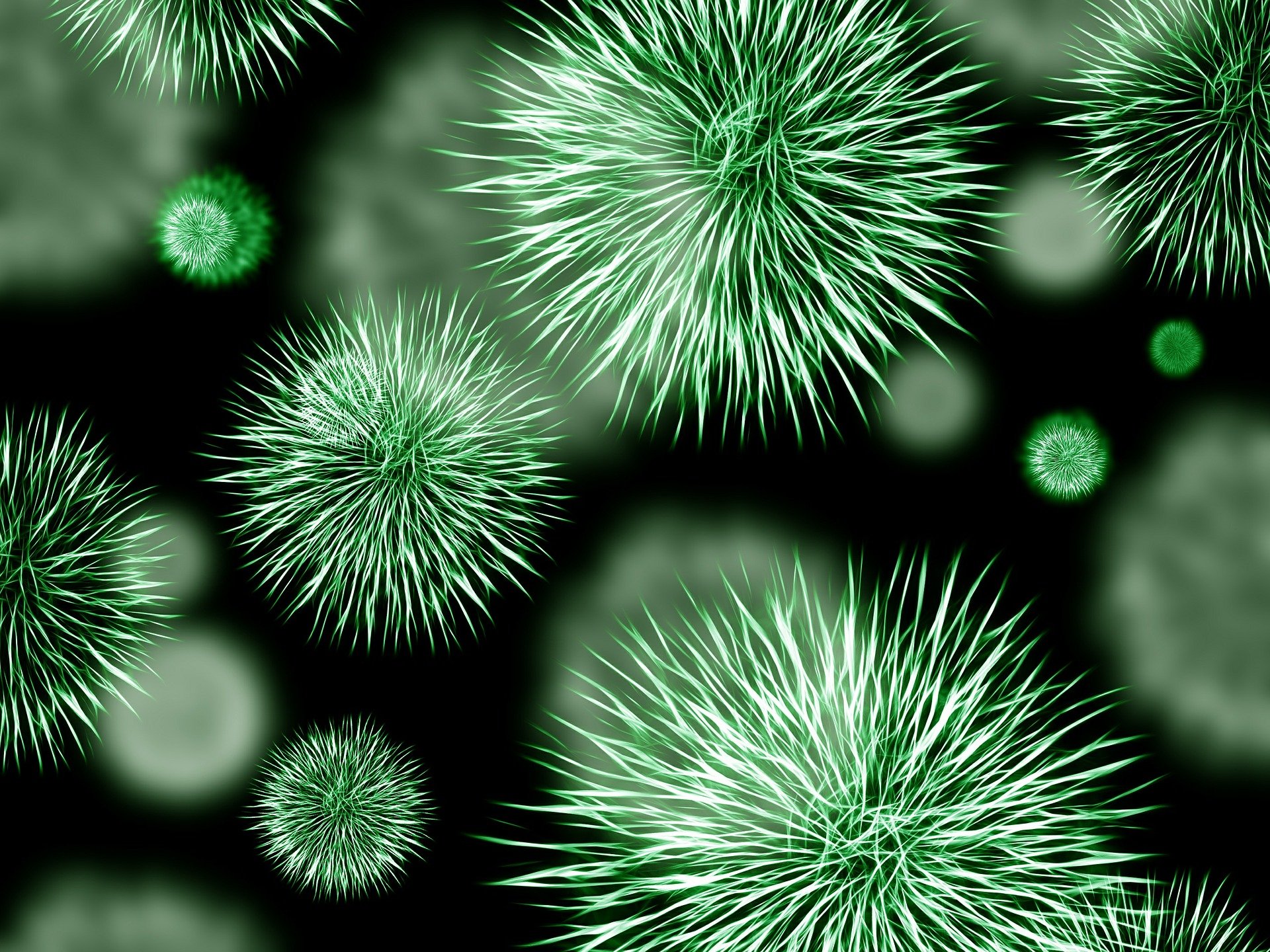 To Feed or Not to Feed: Modeling Fed vs. Fasted States in Biological Research – 42 Factors Series #6